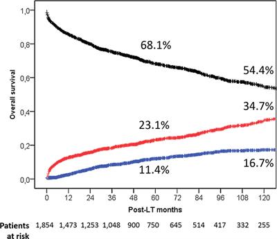 Prognostic Factors for 10-Year Survival in Patients With Hepatocellular Cancer Receiving Liver Transplantation